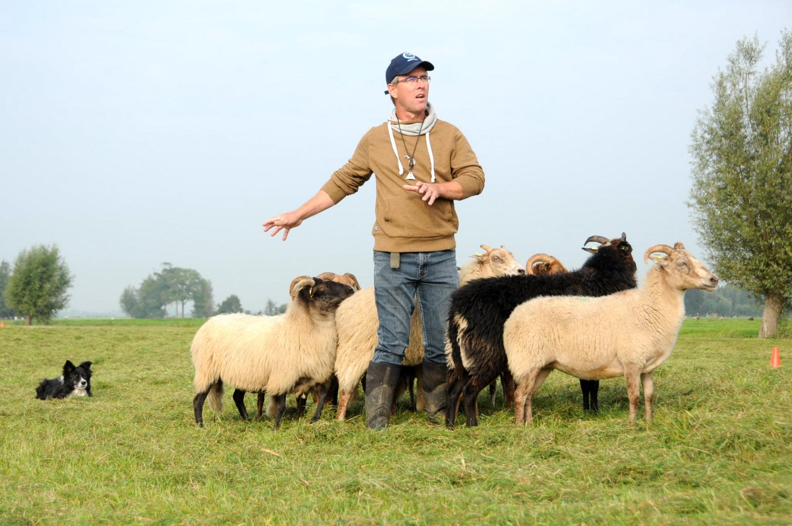Workshop schapendrijven door een ervaren schapendrijver
