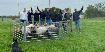 Teambuilding Plus | Boerderij De Boerinn